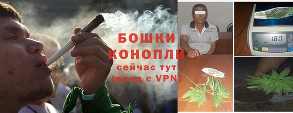 кокс Богородицк