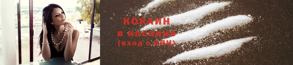 гашик Богородск