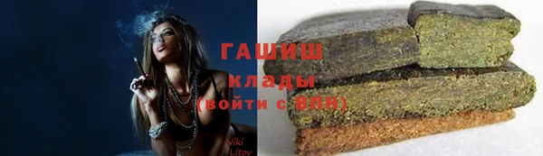 гашик Богородск