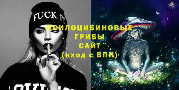 кокс Богородицк