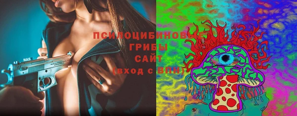 кокс Богородицк