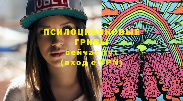 кокс Богородицк