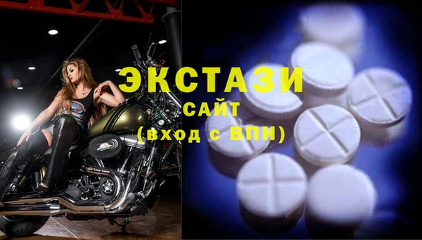 гашик Богородск