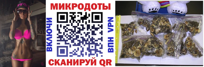 Псилоцибиновые грибы Cubensis  Купить где  Биробиджан 