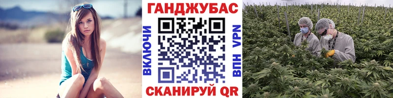 Купить закладки  Биробиджан  Марихуана White Widow 